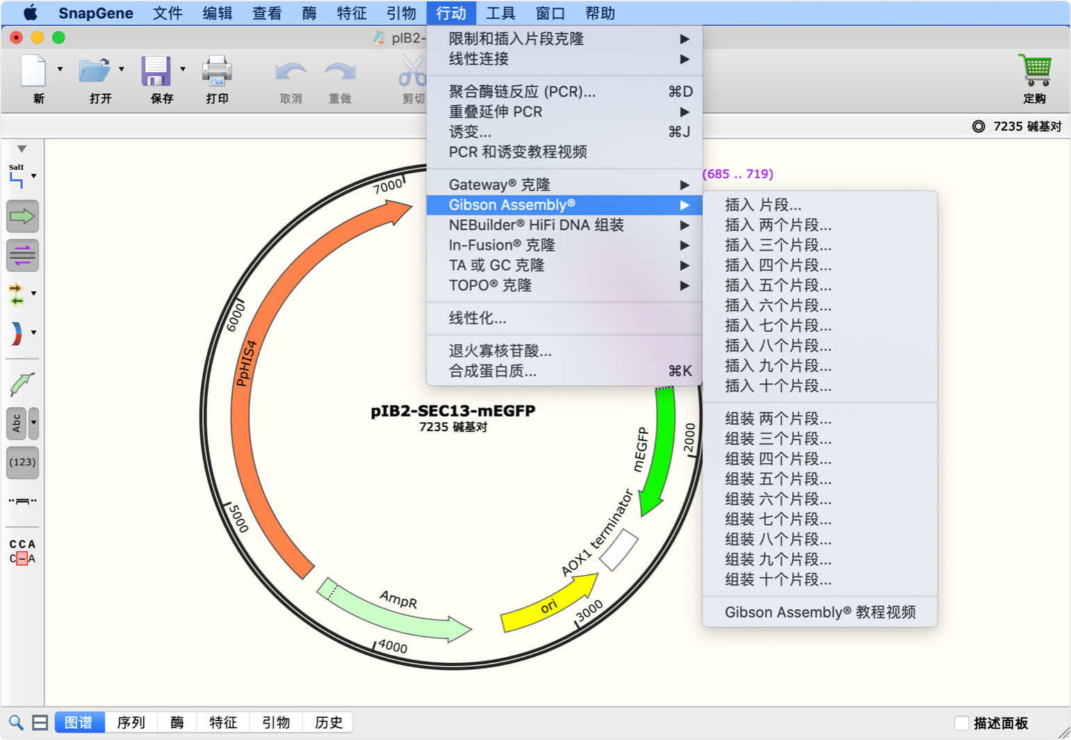 Circular Plasmid Map